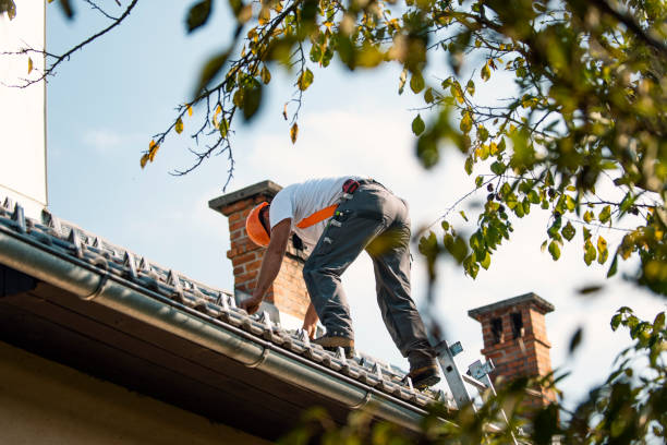 Best Tile Roofing Contractor  in Warren, IN