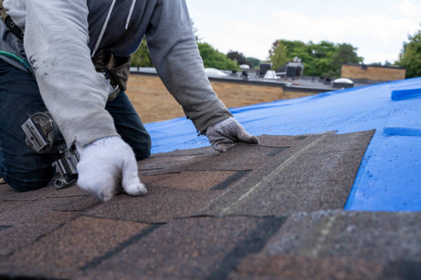 Best Roof Leak Repair  in Warren, IN