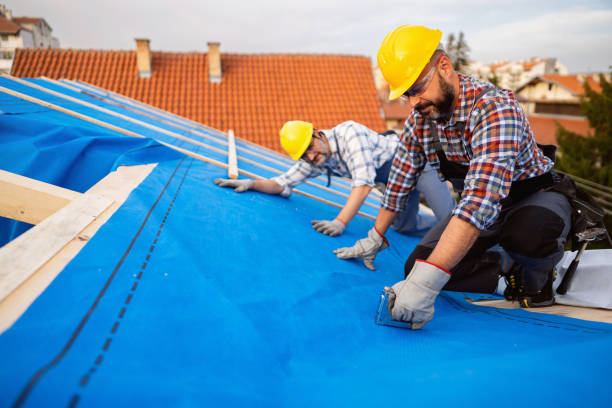 Best Roof Gutter Cleaning  in Warren, IN